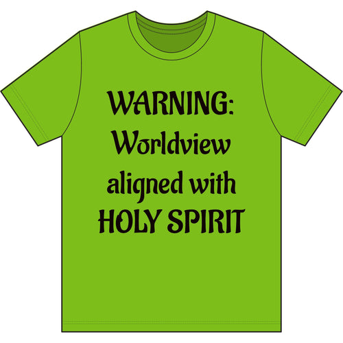 Bold Worldview Christian Tee — Proverbs 28:1 Lion Scripture Shirt