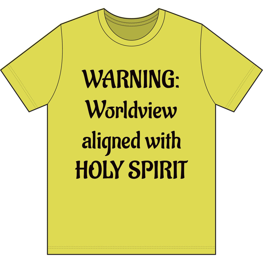 Christian T‑Shirt – Worldview with Lion & verse on back