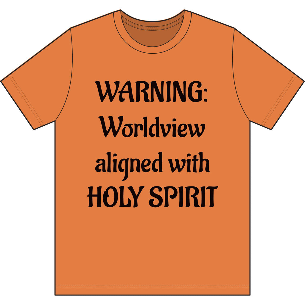 Christian T‑Shirt – Worldview with Lion & verse on back