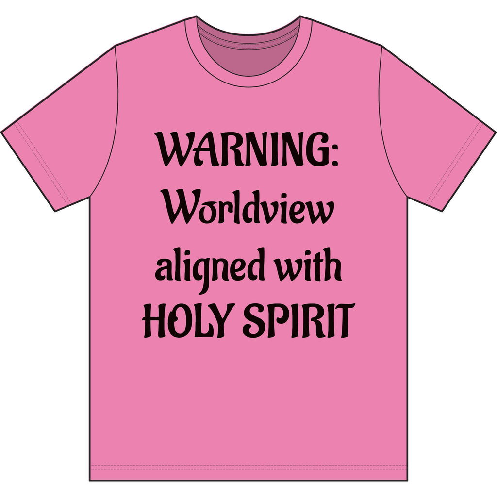 Christian T‑Shirt – Worldview with Lion & verse on back