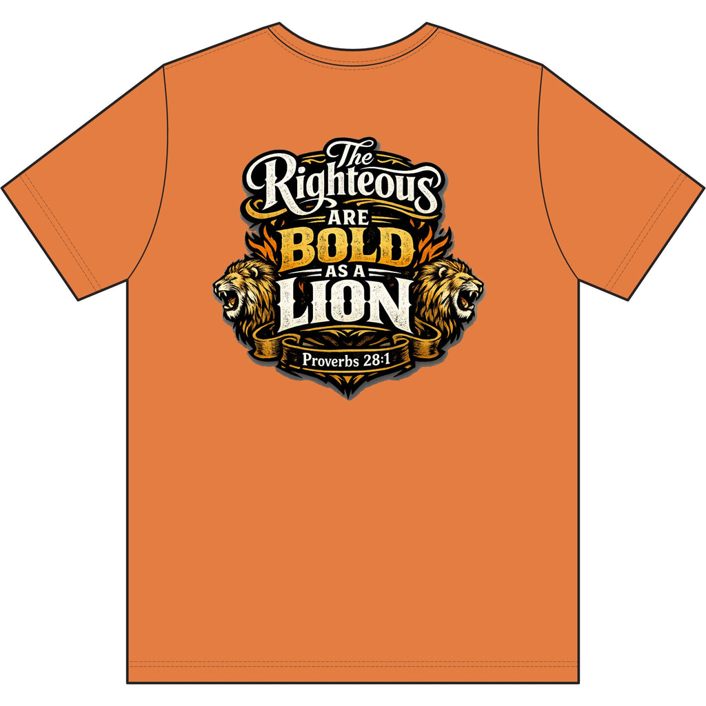Christian T‑Shirt – Worldview with Lion & verse on back