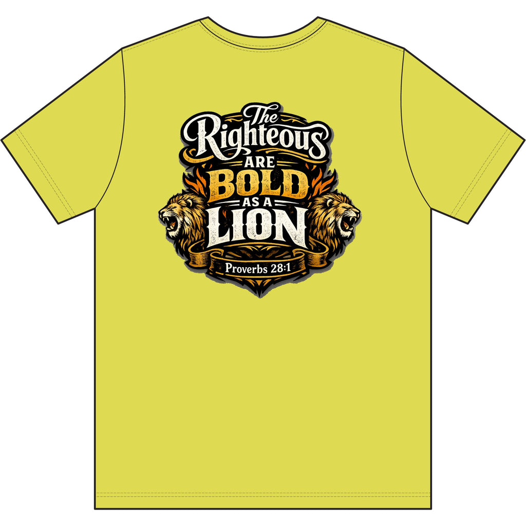 Christian T‑Shirt – Worldview with Lion & verse on back