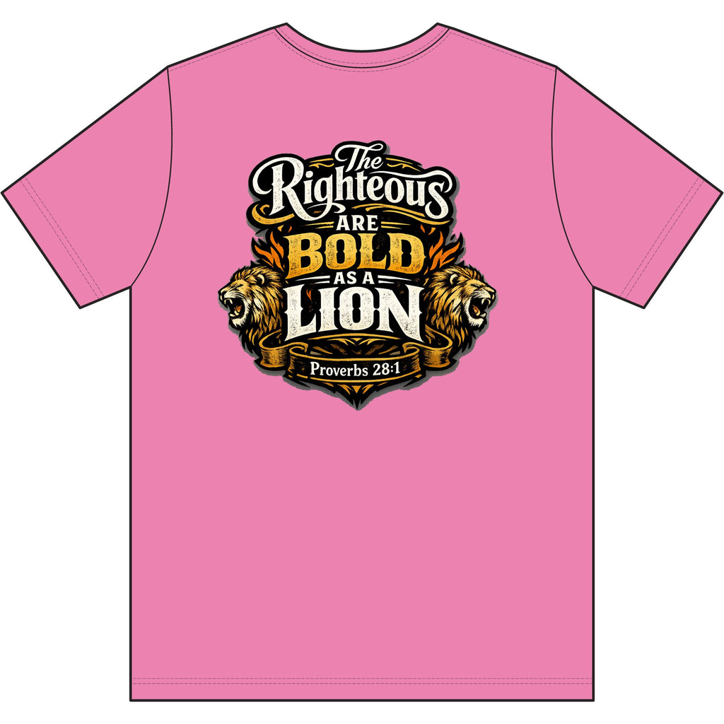 Christian T‑Shirt – Worldview with Lion & verse on back