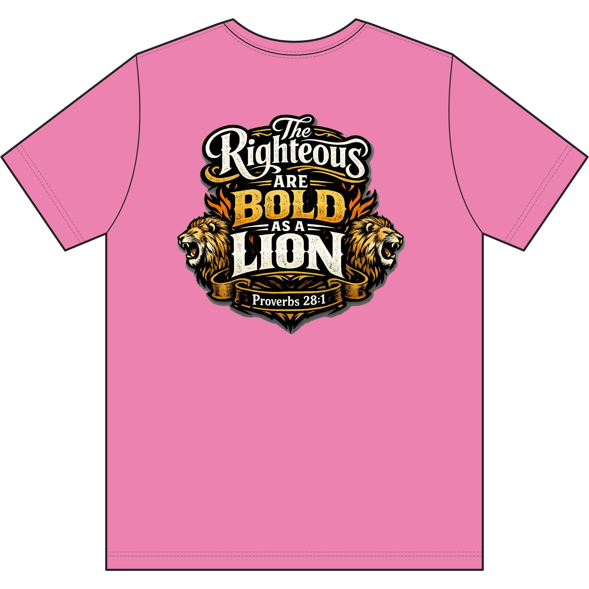 Christian T‑Shirt – Worldview with Lion & verse on back